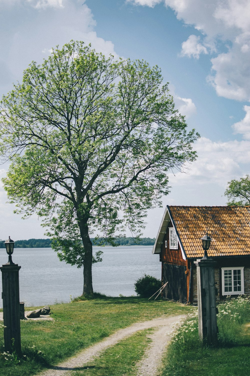 cabin near tree and lake during day