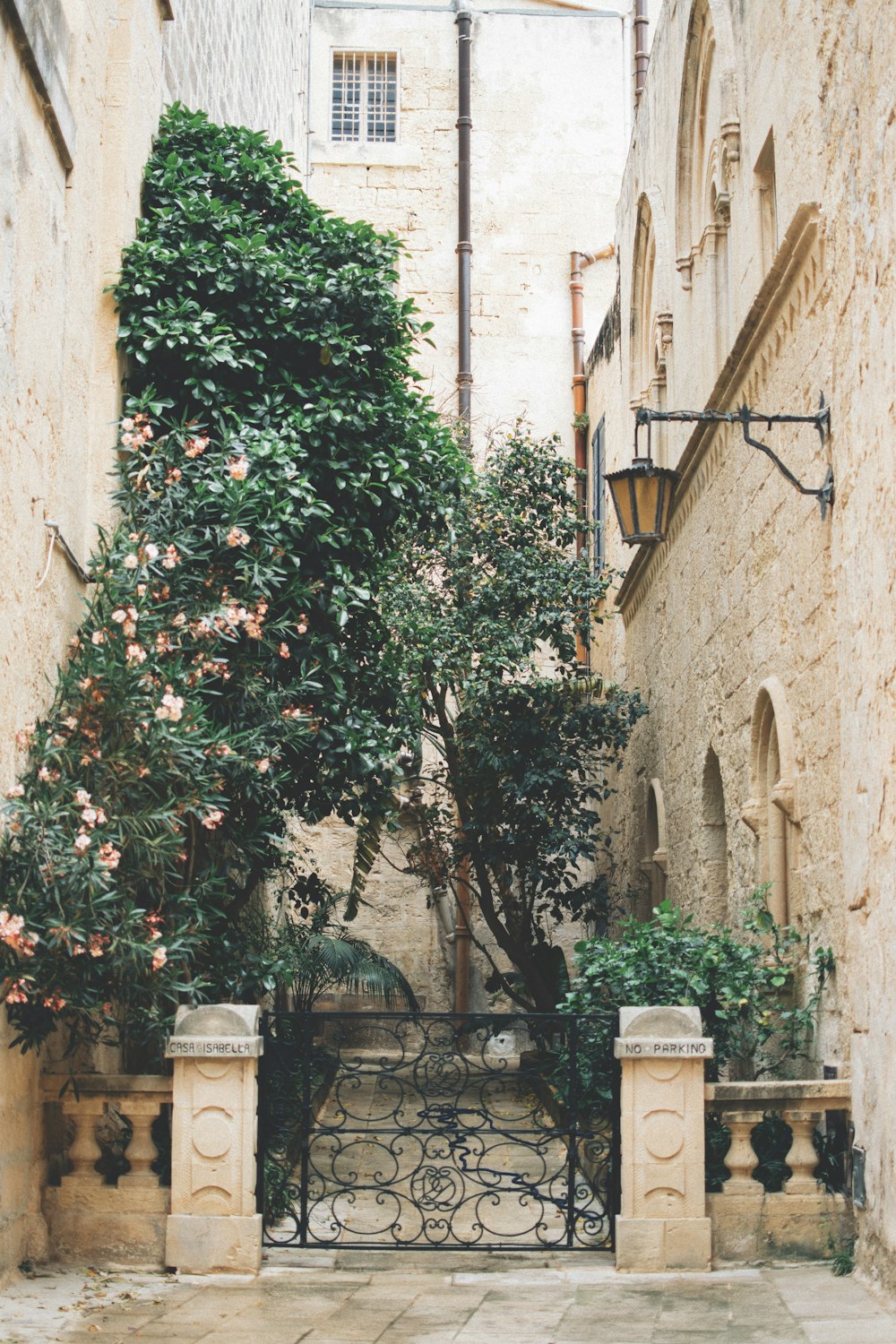 concrete houses with tree beside