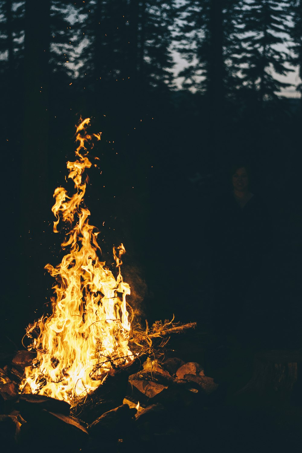 fogueira acesa durante a noite