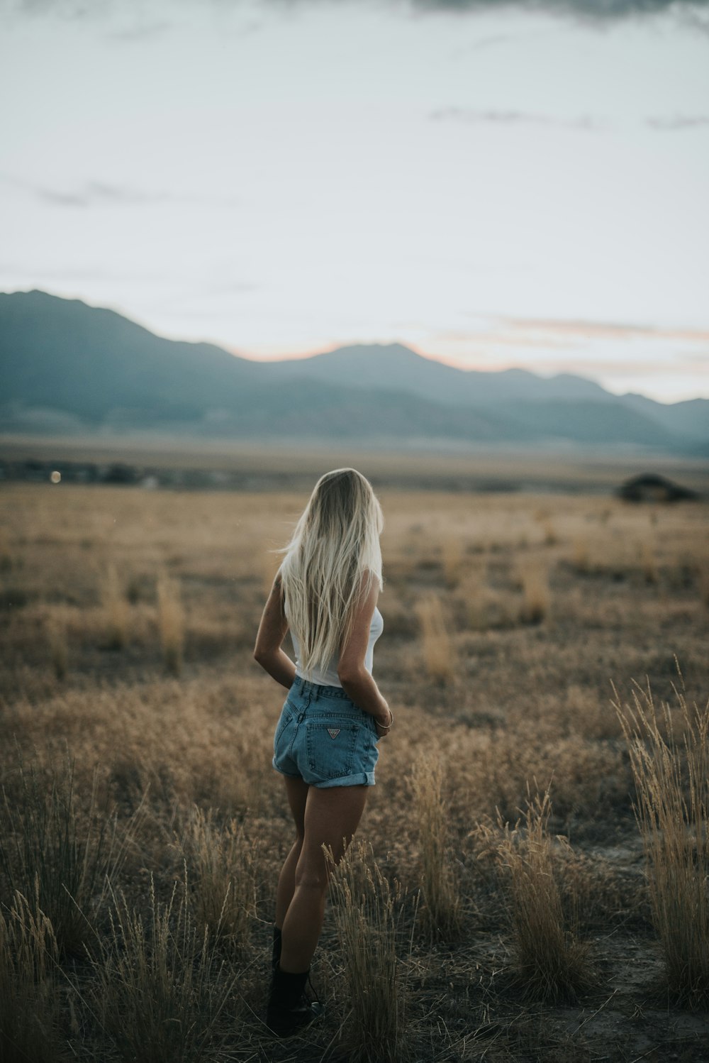 mulher em pé no campo com vista para as montanhas durante o dia