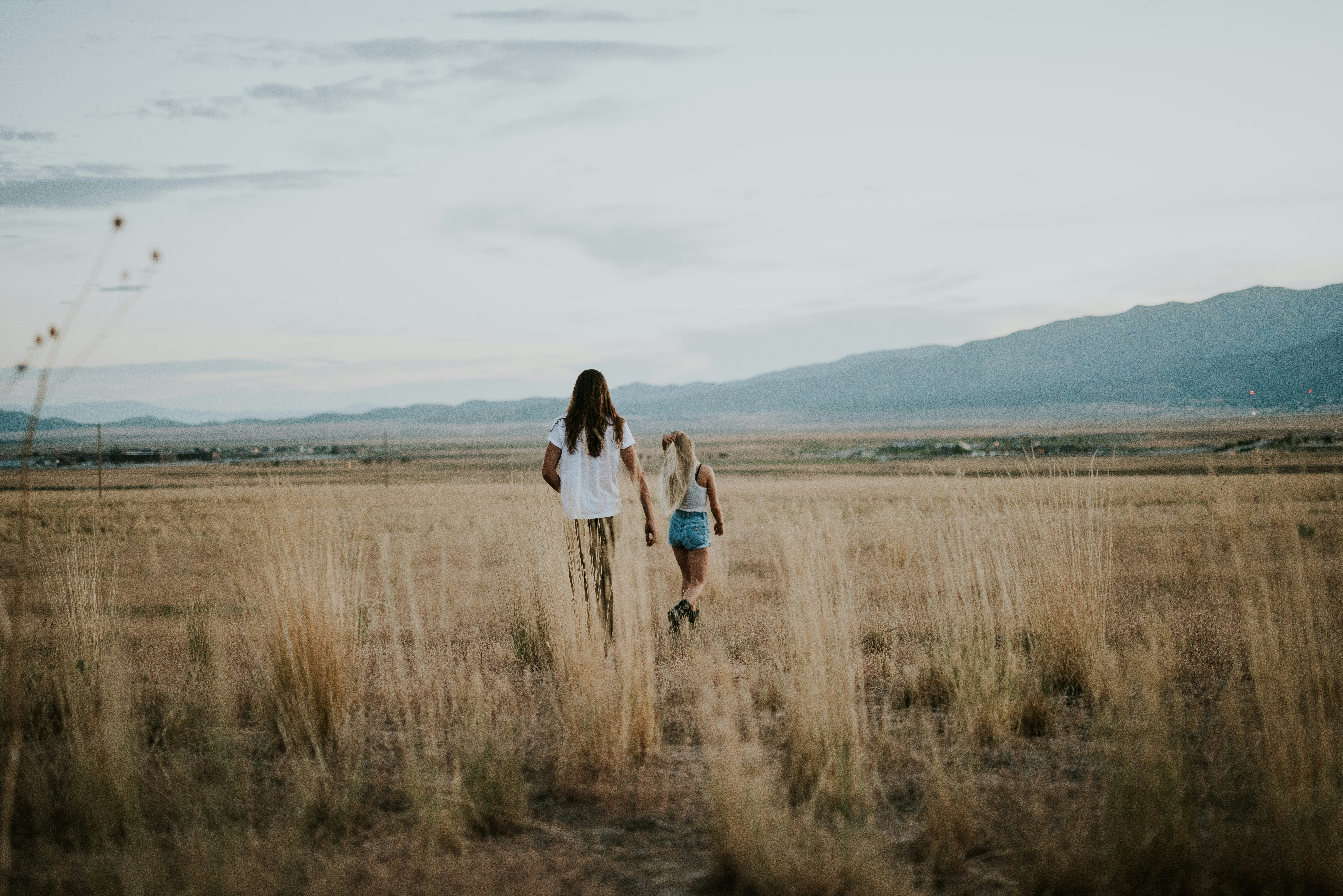 man and woman walking on yellow grass field