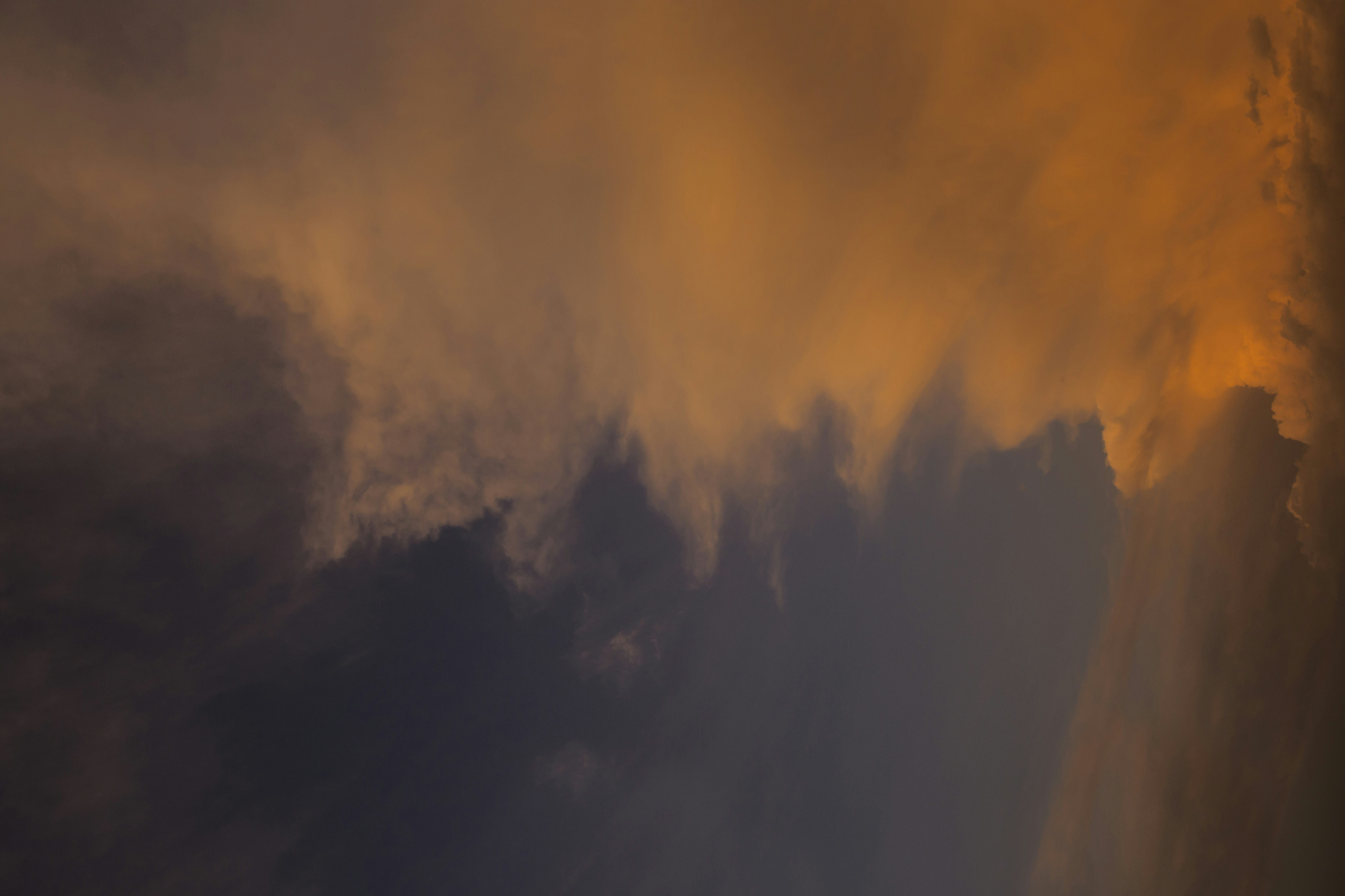 Photo by iguanaphoto