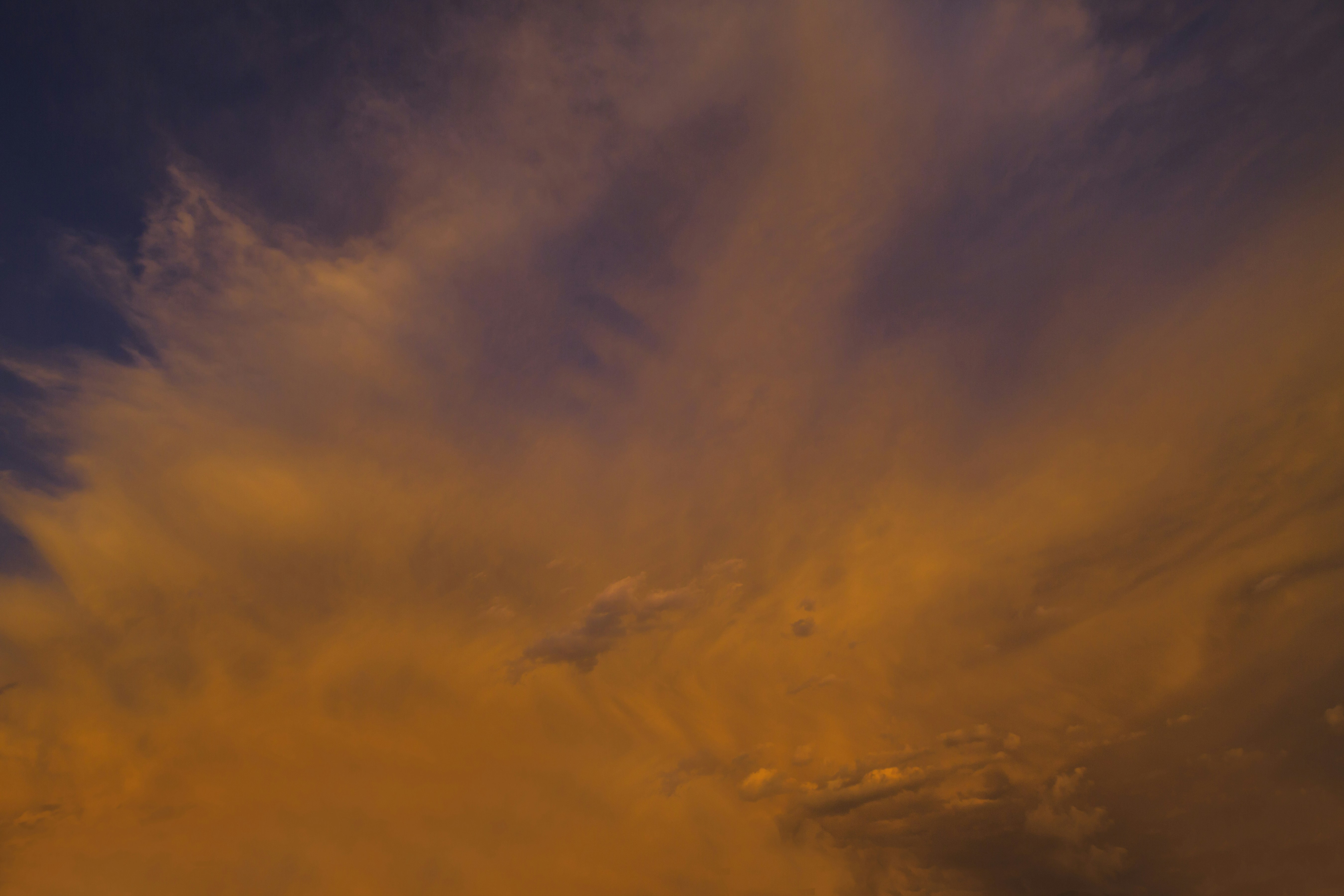 Photo by iguanaphoto