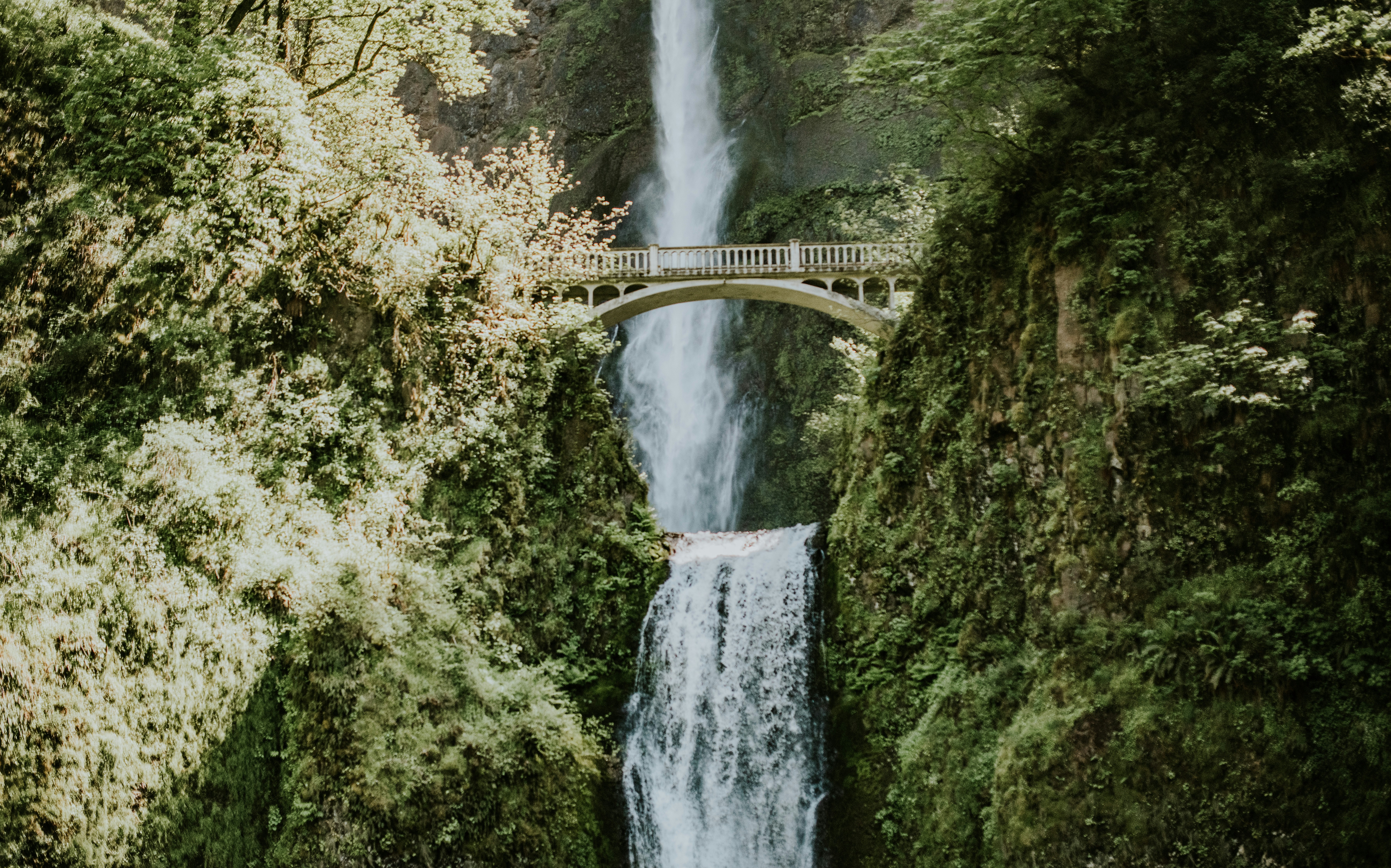 Photo by seitamaaphotography