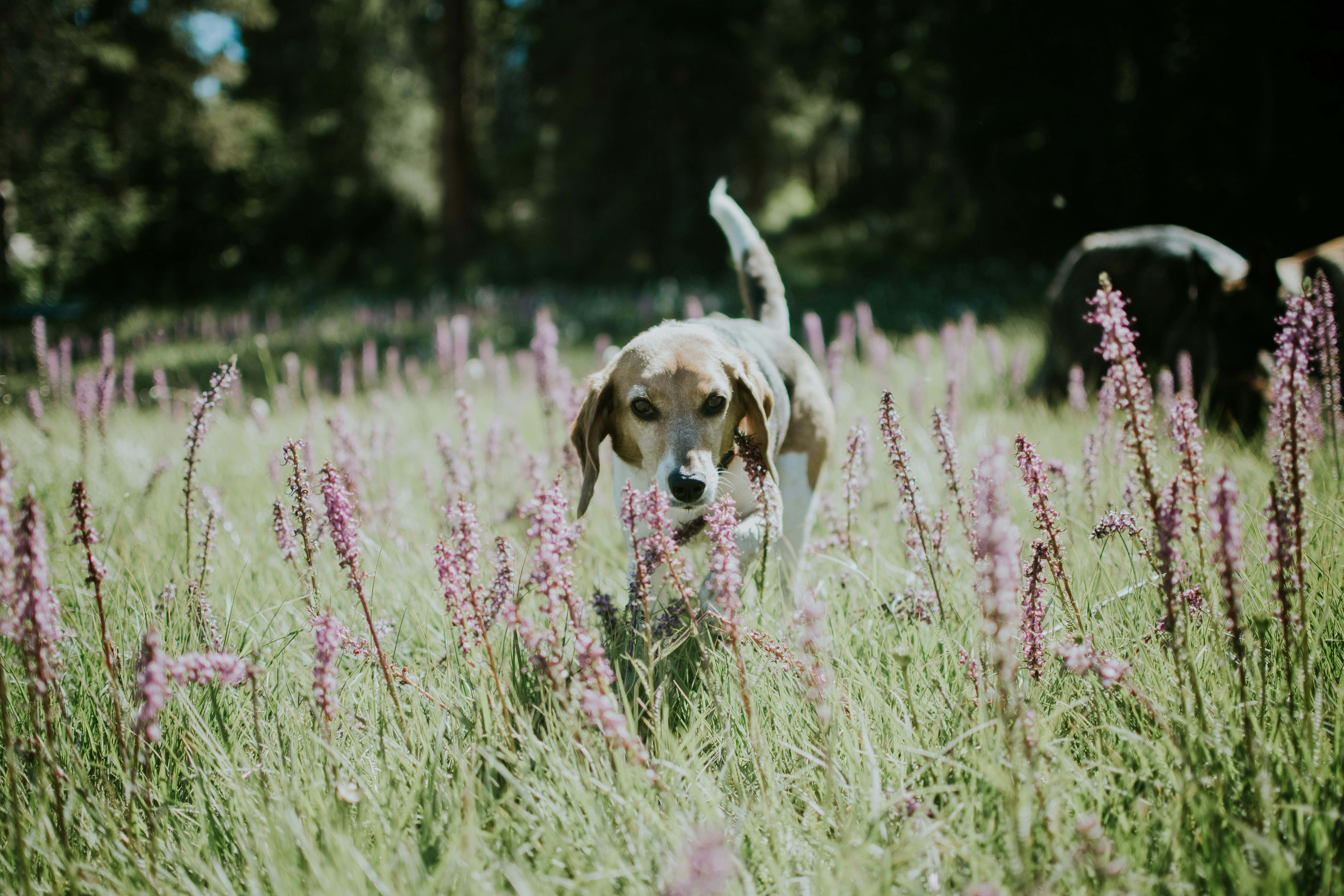 Photo by seitamaaphotography