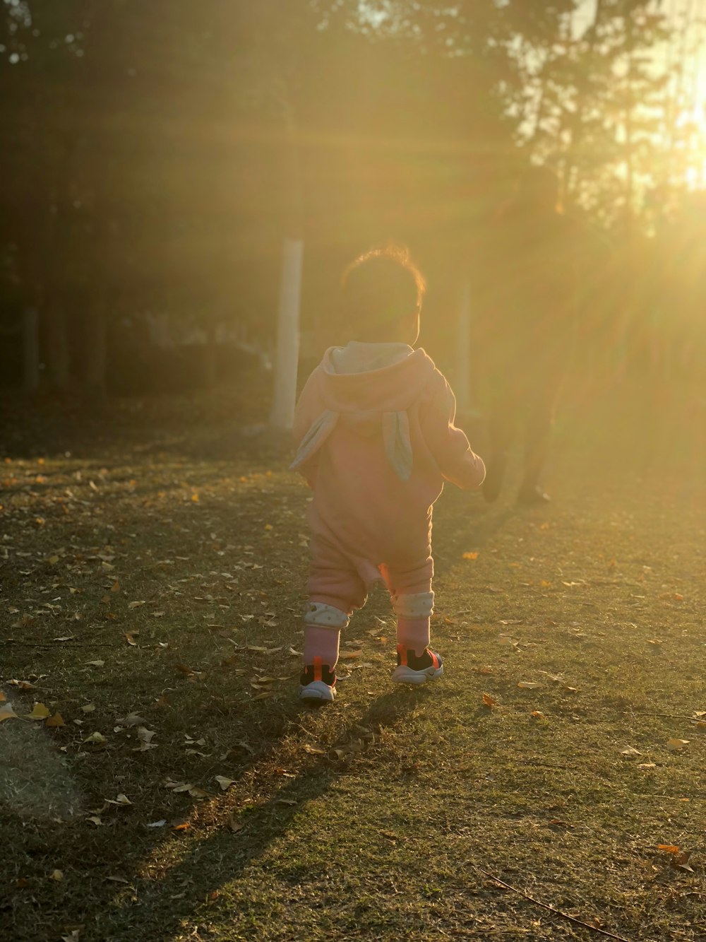 toddler walking towards trees