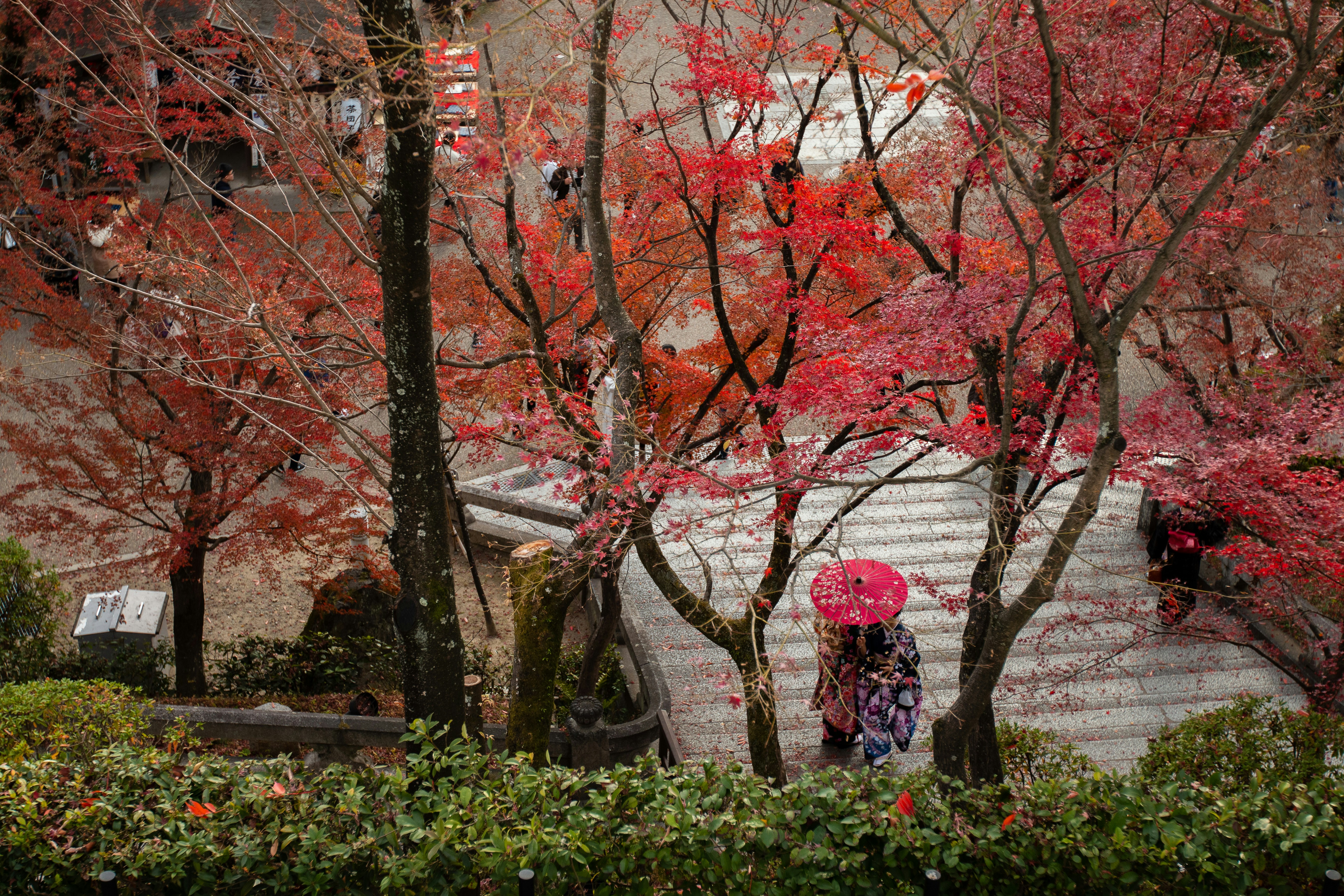 Photo by kanta