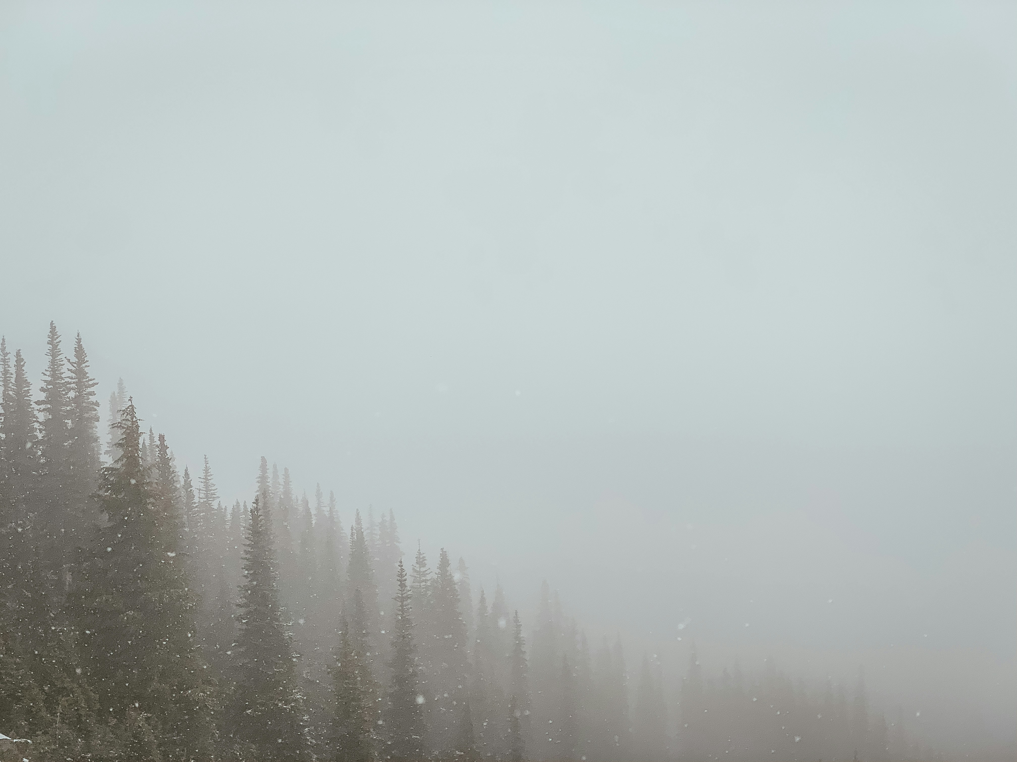 Photo by adityachinchure