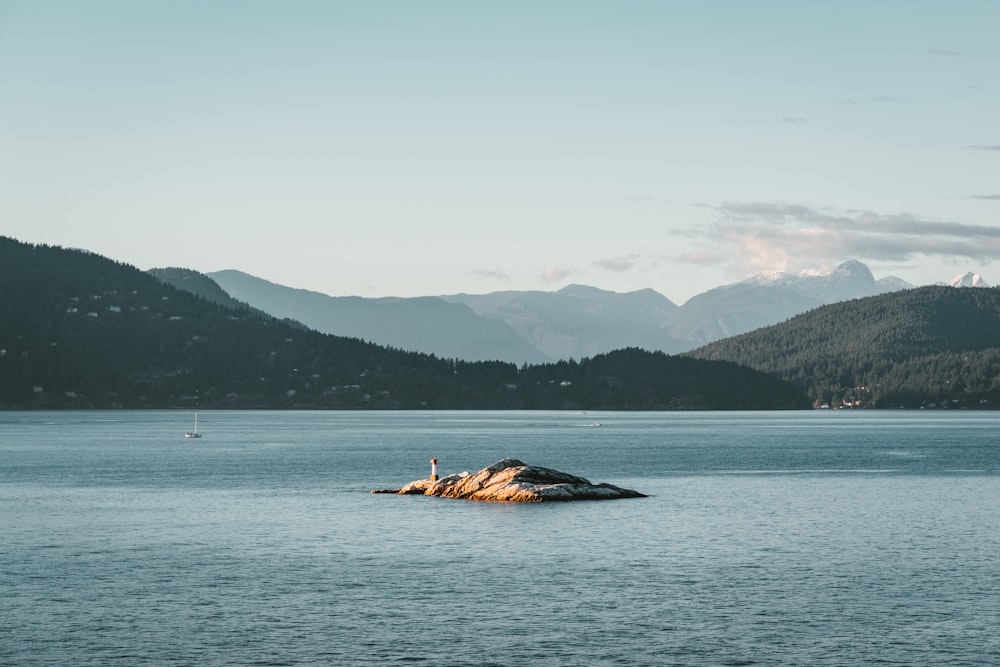 islet in middle of body of water