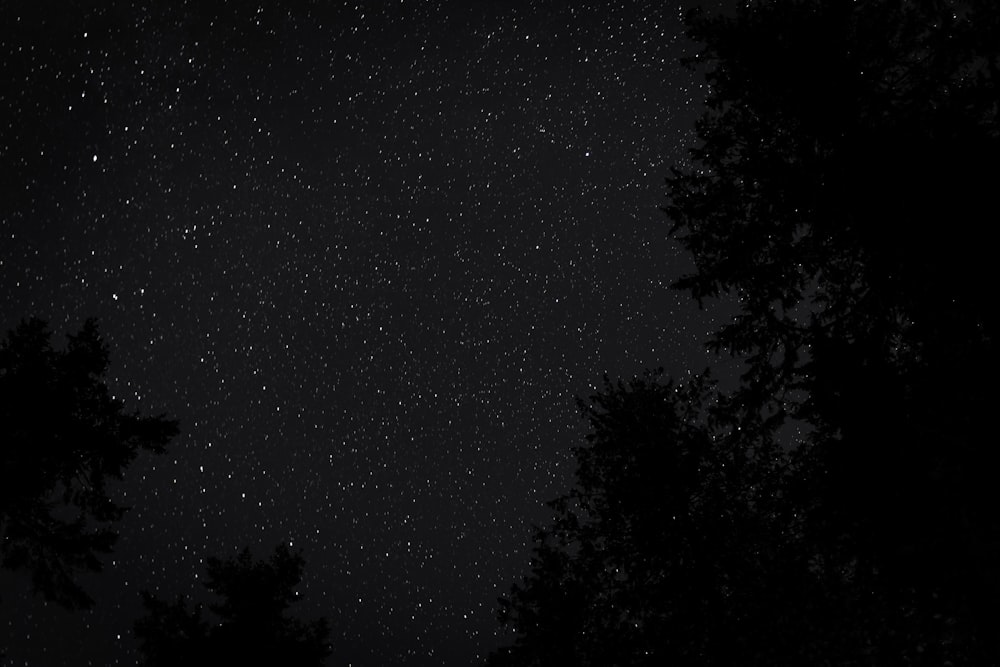 fotografia ad angolo basso della notte stellata