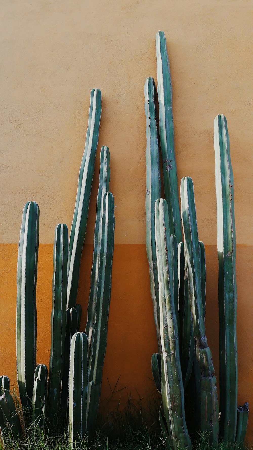 four blue and black wooden handled tools