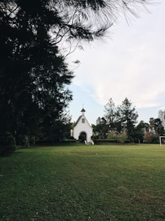 white painted church surrounded by tall trees