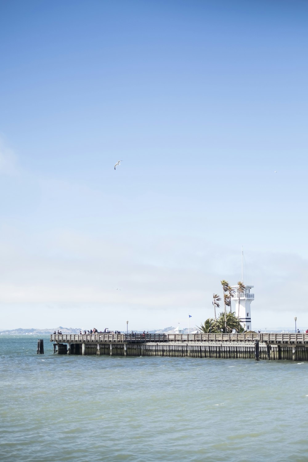 brown wooden dock above body of water