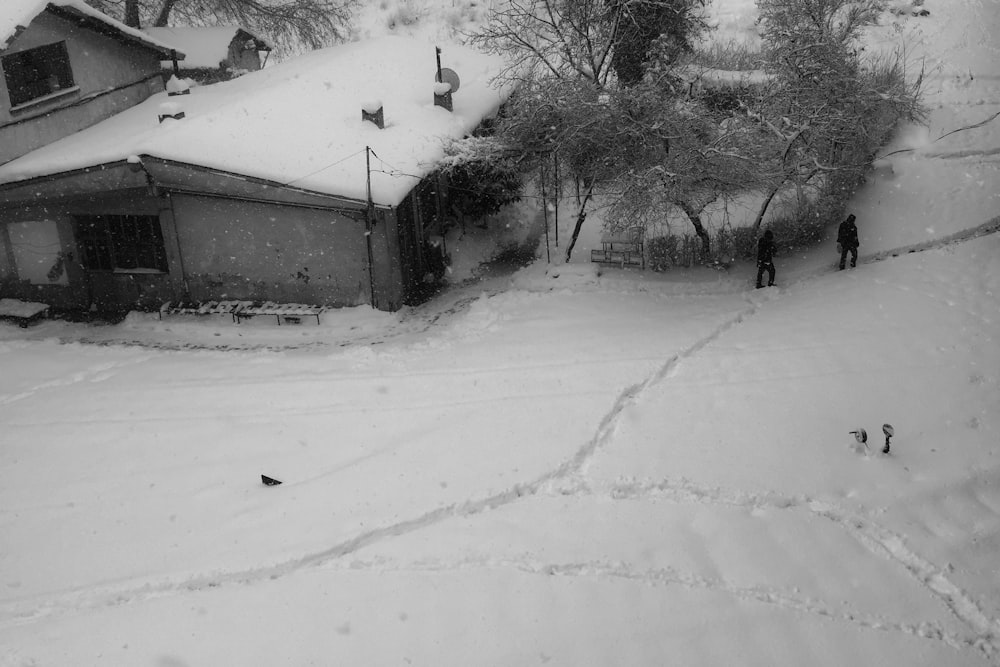 Foto aerea del campo di neve bianca