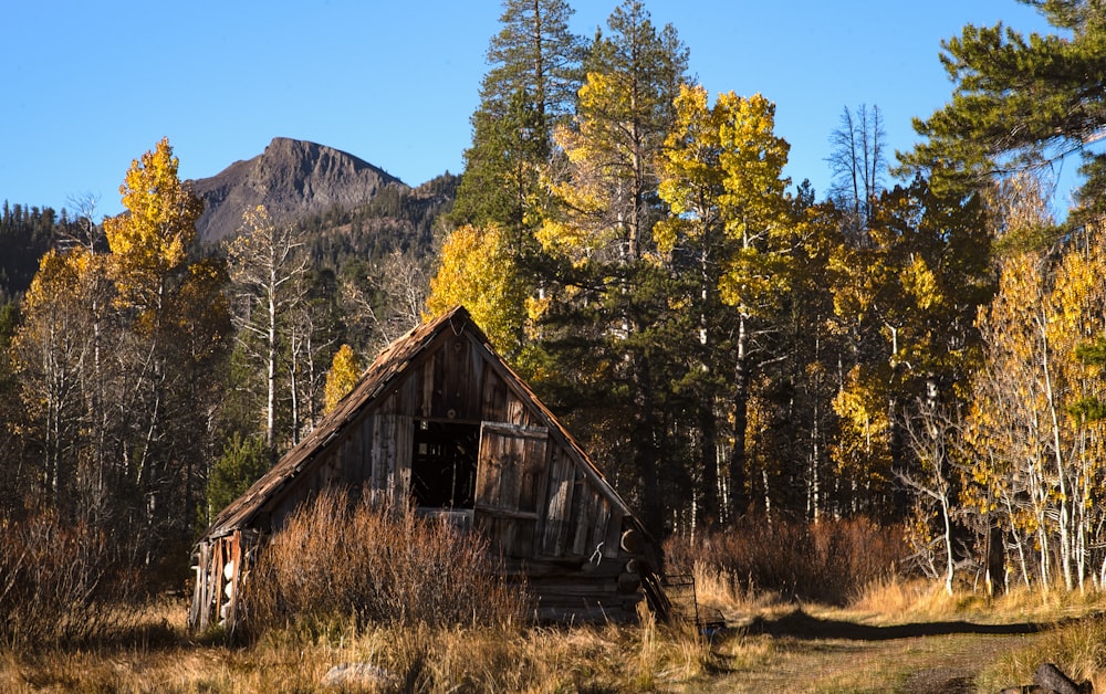 brown wooden barn surrounded by trees