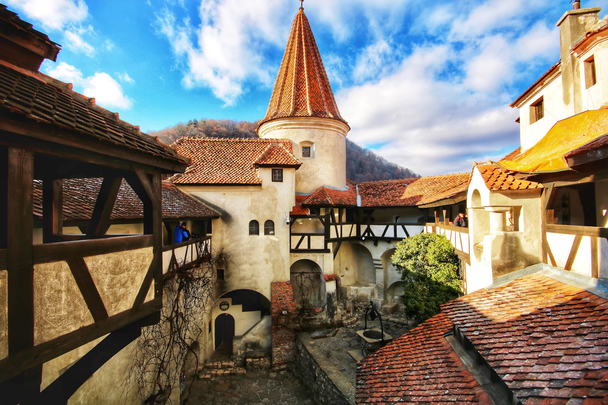 Le château de Bran en Roumanie