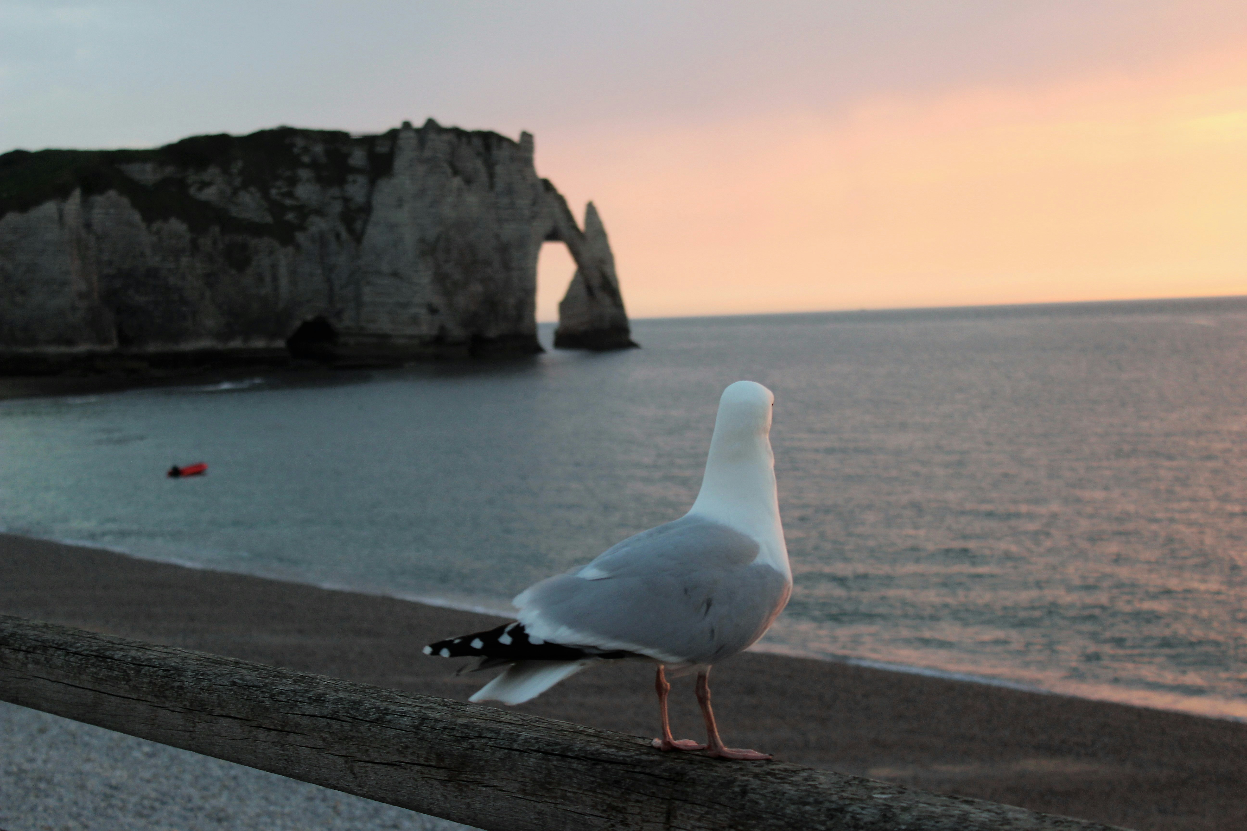 Etretat