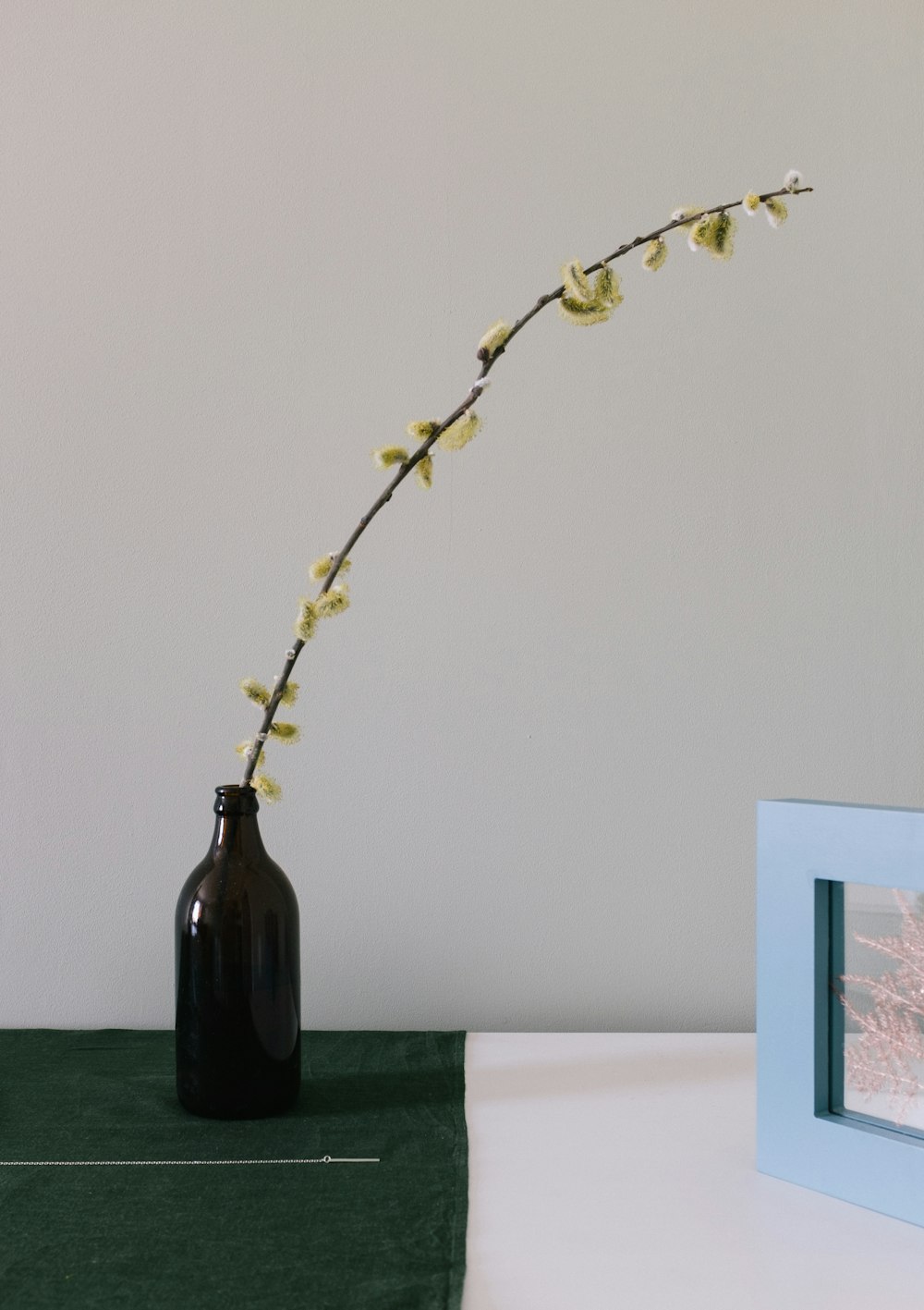 yellow-petaled flower on bottle