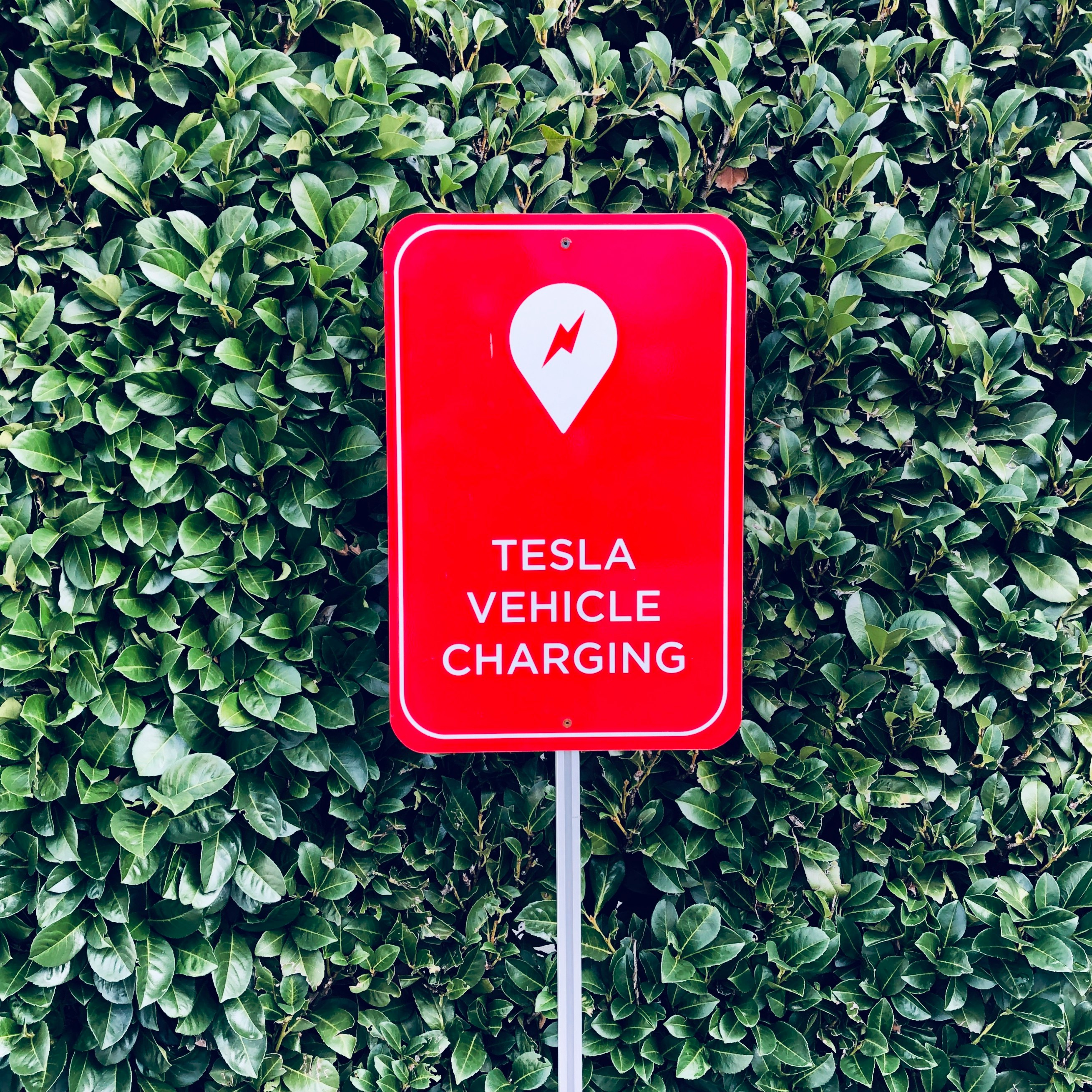 Tesla Vehicle Charging sign