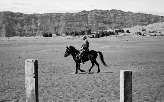 grayscale photography of equestrian riding on horse