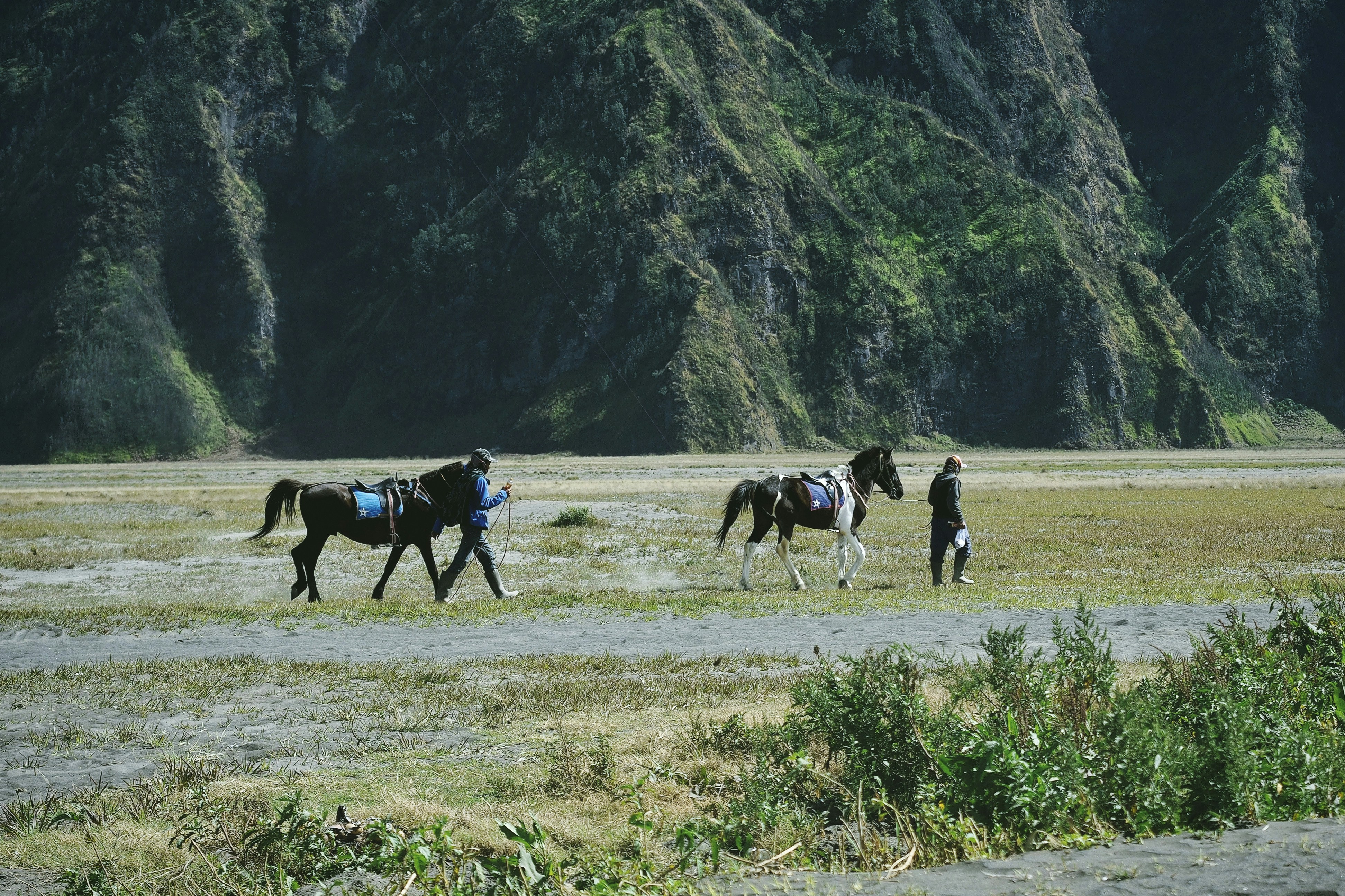 Photo by agto