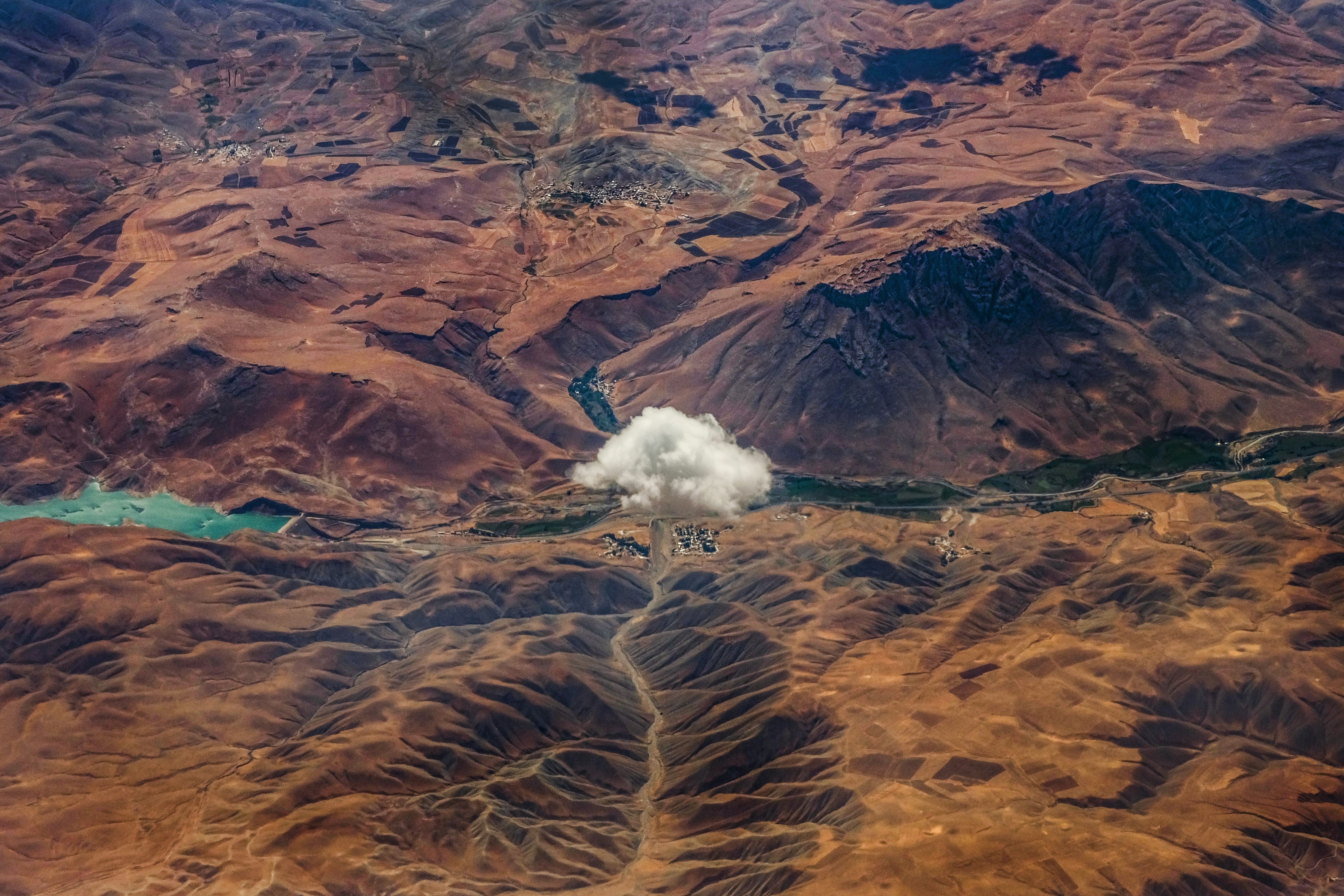 Définition de touffe Dictionnaire français