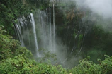 cascading waterfalls in green plant covered ravine