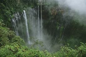 cascading waterfalls in green plant covered ravine