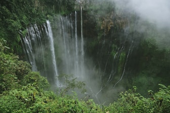 cascading waterfalls in green plant covered ravine