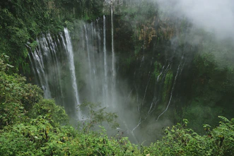 cascading waterfalls in green plant covered ravine