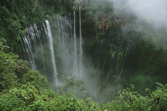 cascading waterfalls in green plant covered ravine