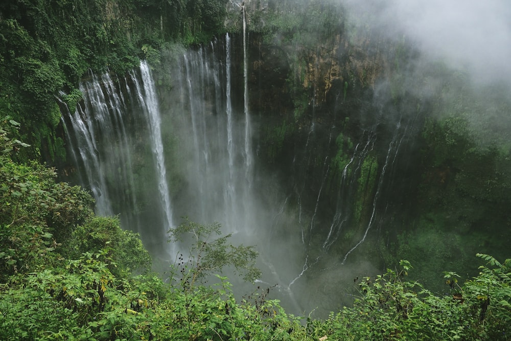 cascadas en cascada en barranco cubierto de plantas verdes