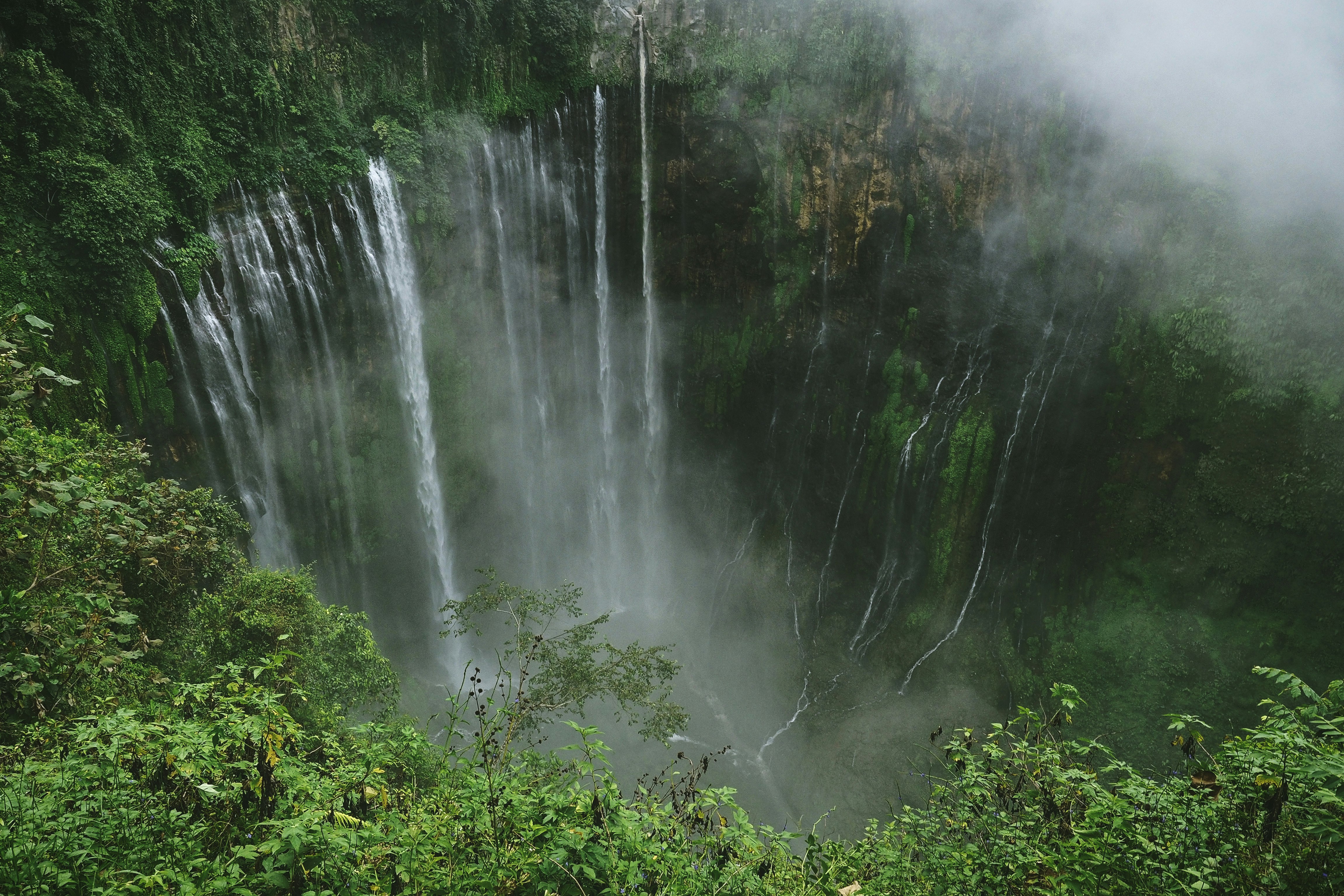 cascading waterfalls in green plant covered ravine