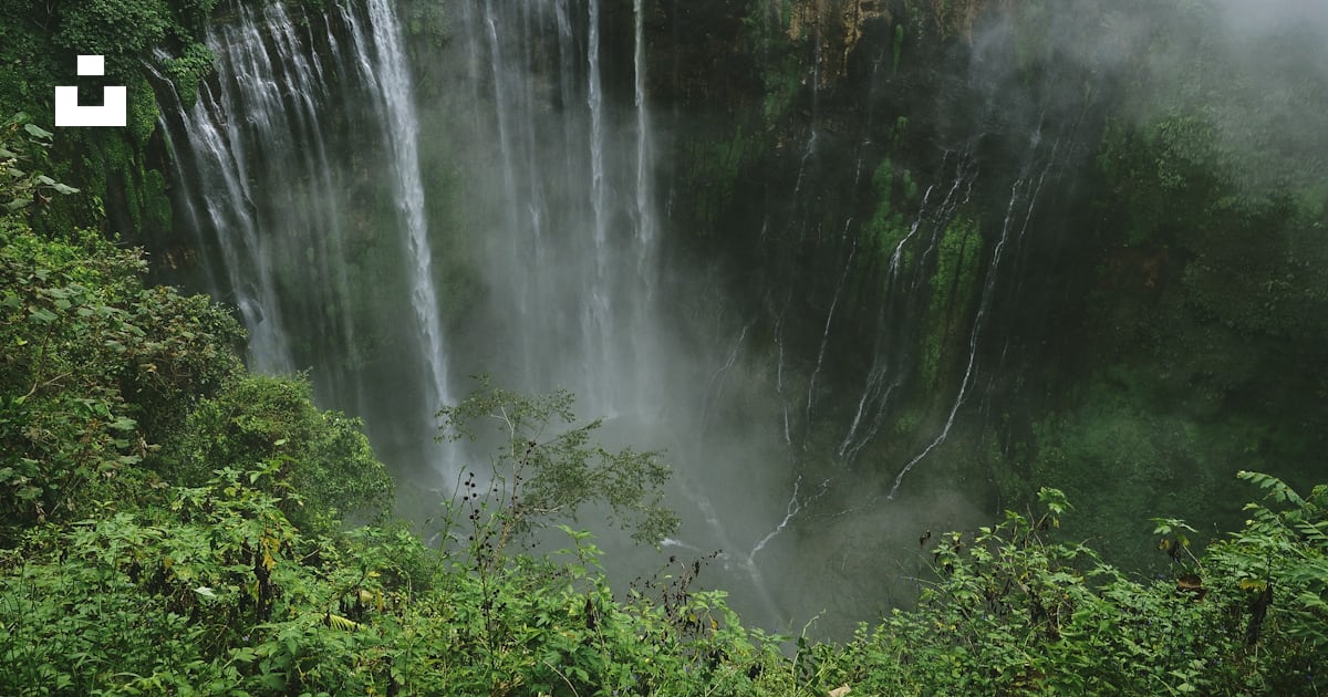 Cascades dans un ravin couvert de plantes vertes photo – Image gratuite ...