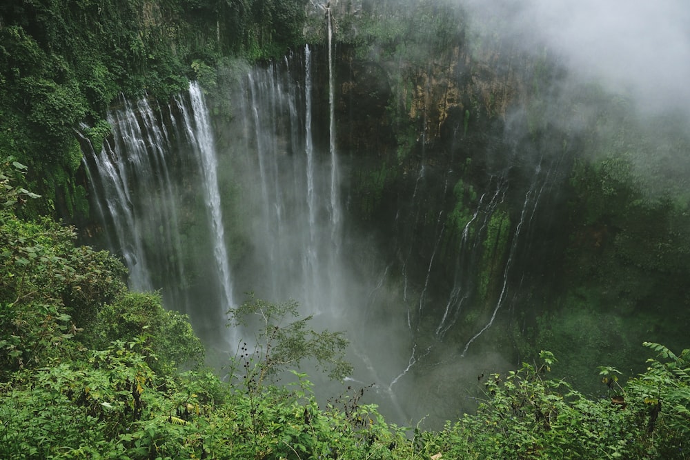 cascading waterfalls in green plant covered ravine