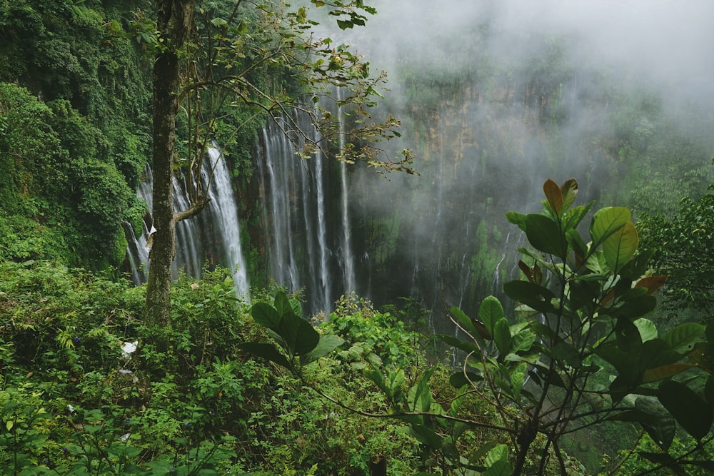 waterfalls photography