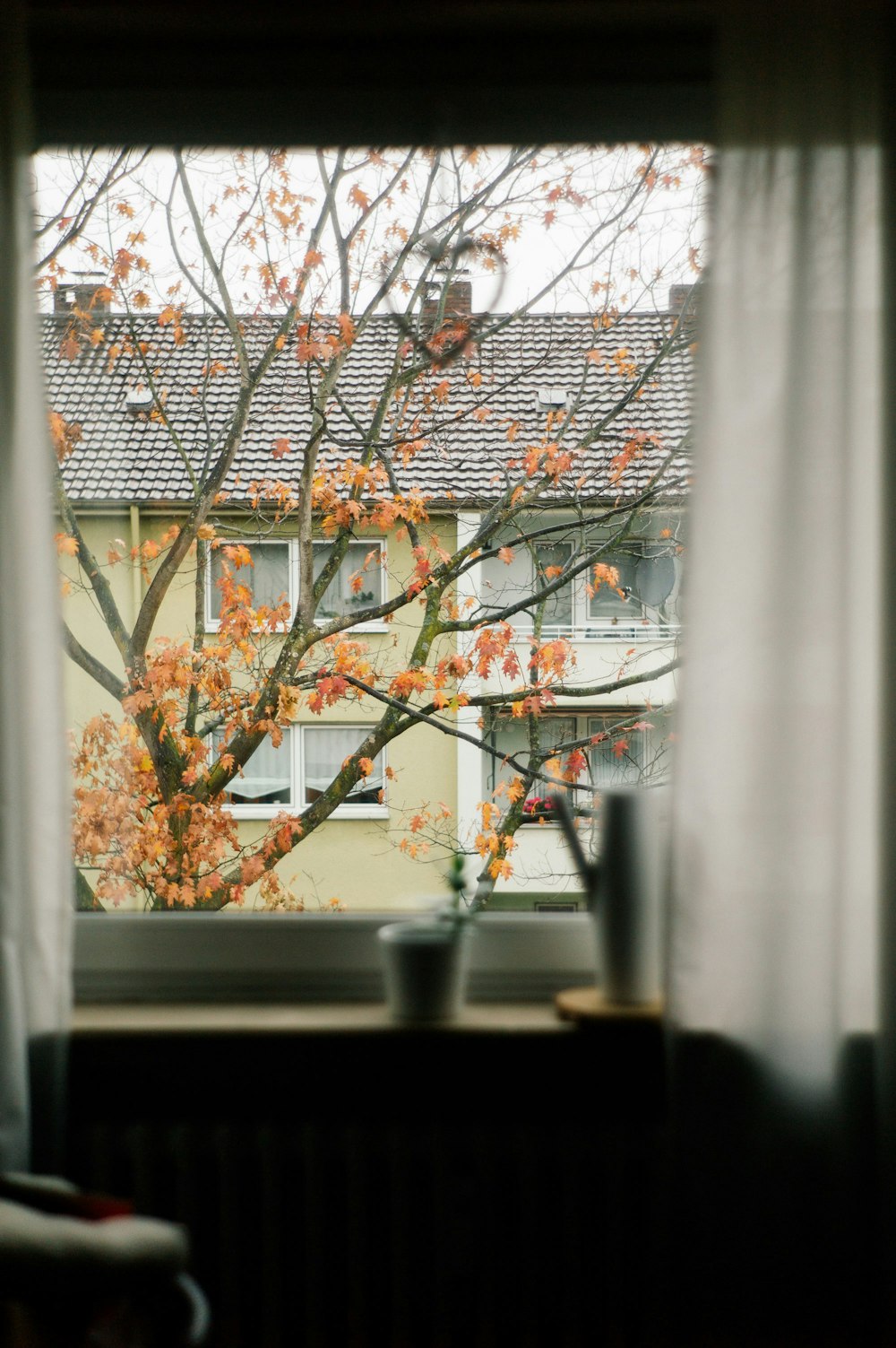 view of tree during daytime