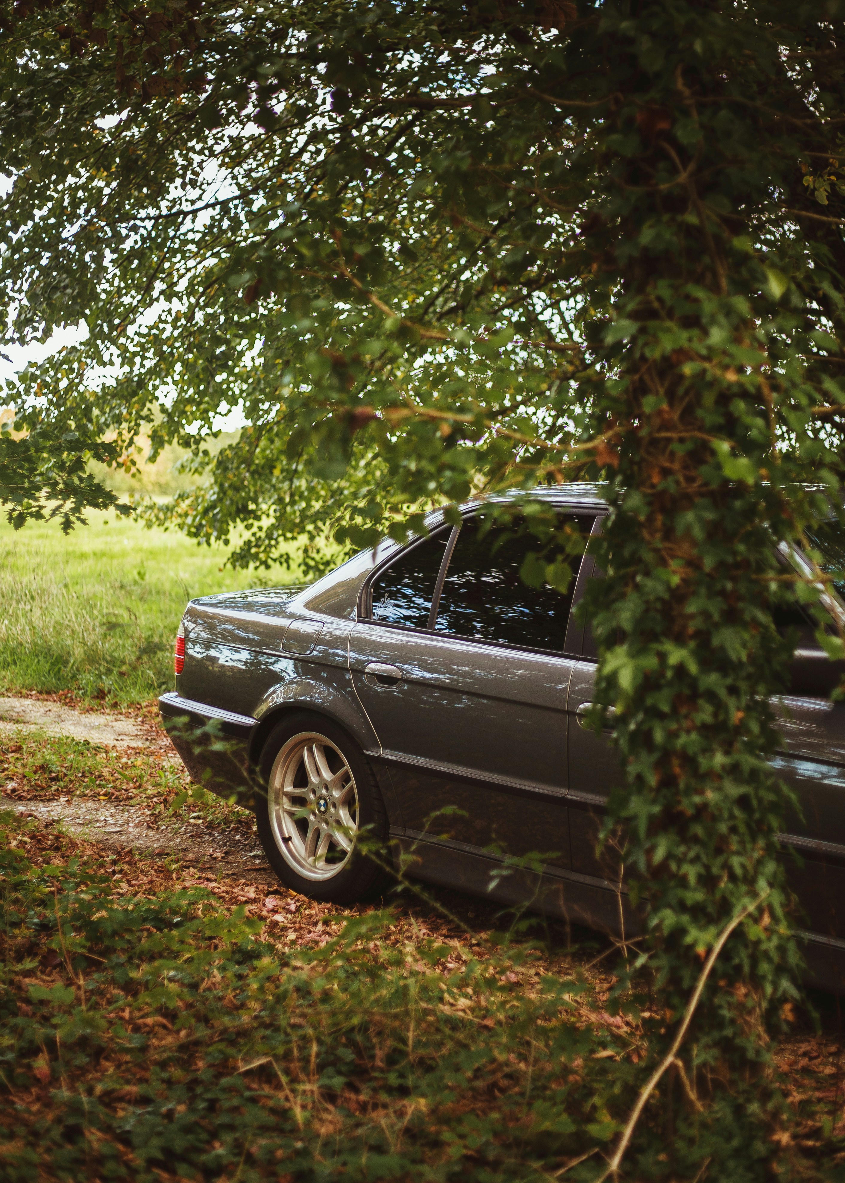 Photo by ethansexton