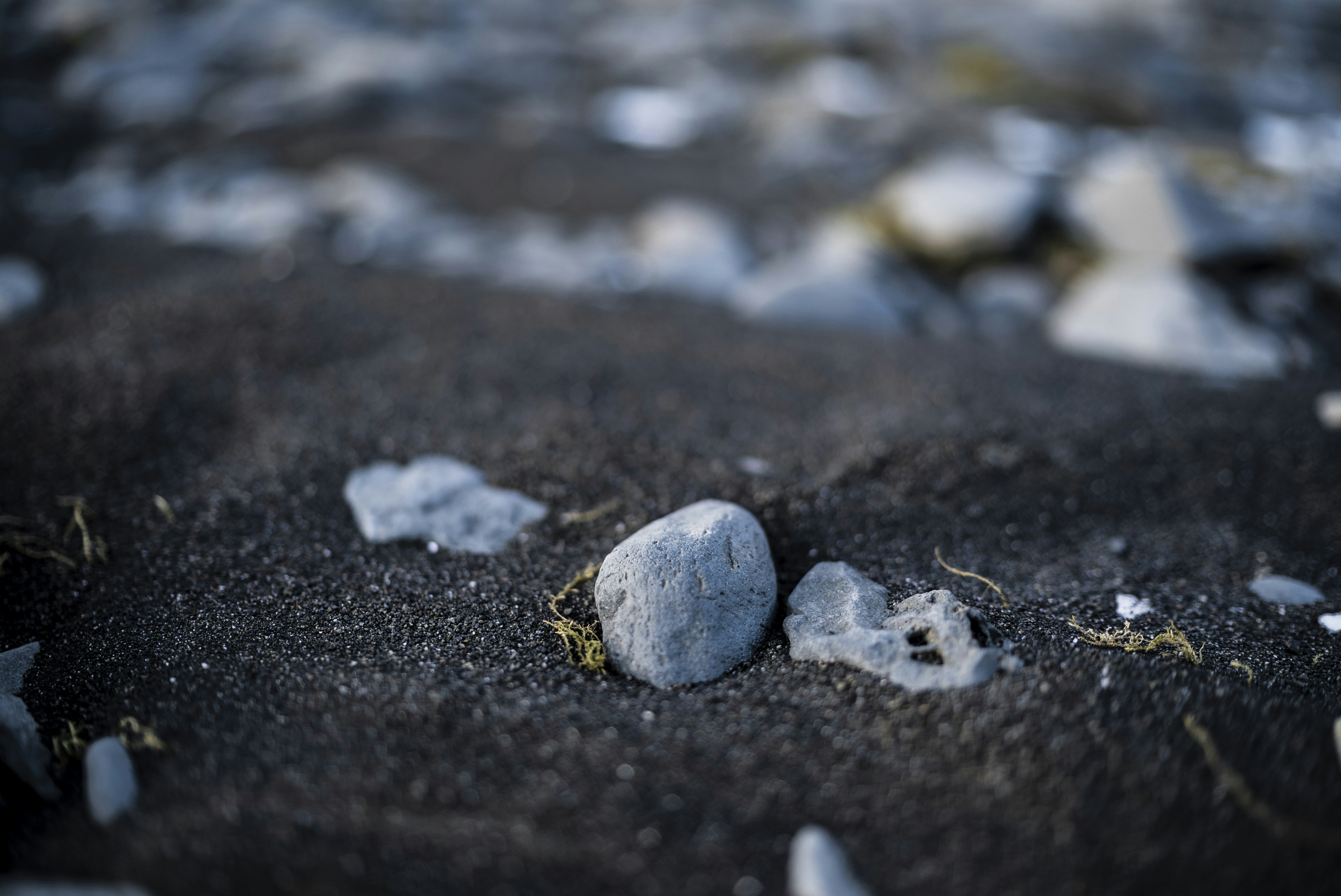 Photo by juanencalada