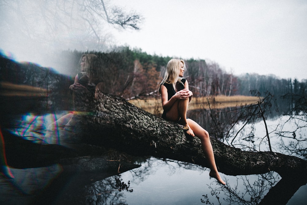 woman sitting on wood log