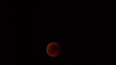 A blood-red moon is prominently visible against a dark night sky. The faint outlines of craters are discernible on its surface.