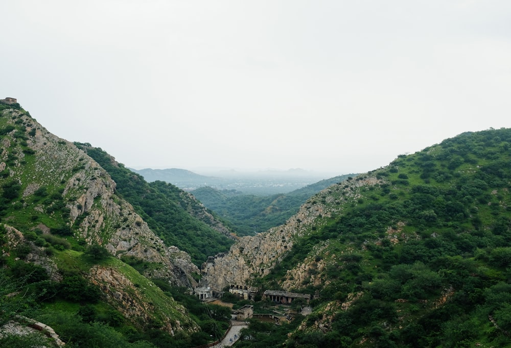 Photographie aérienne d’arbres et de formations rocheuses