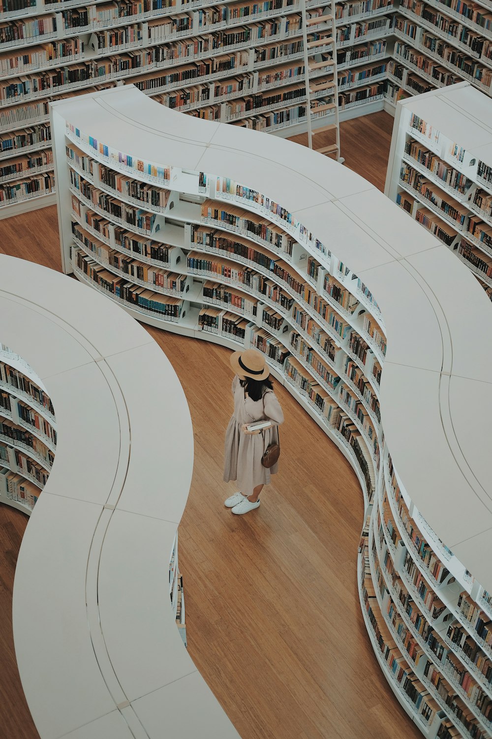 donna in piedi sulla libreria