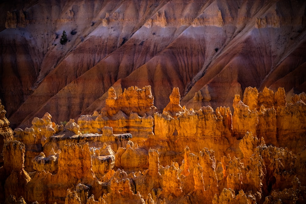 brown rock formation