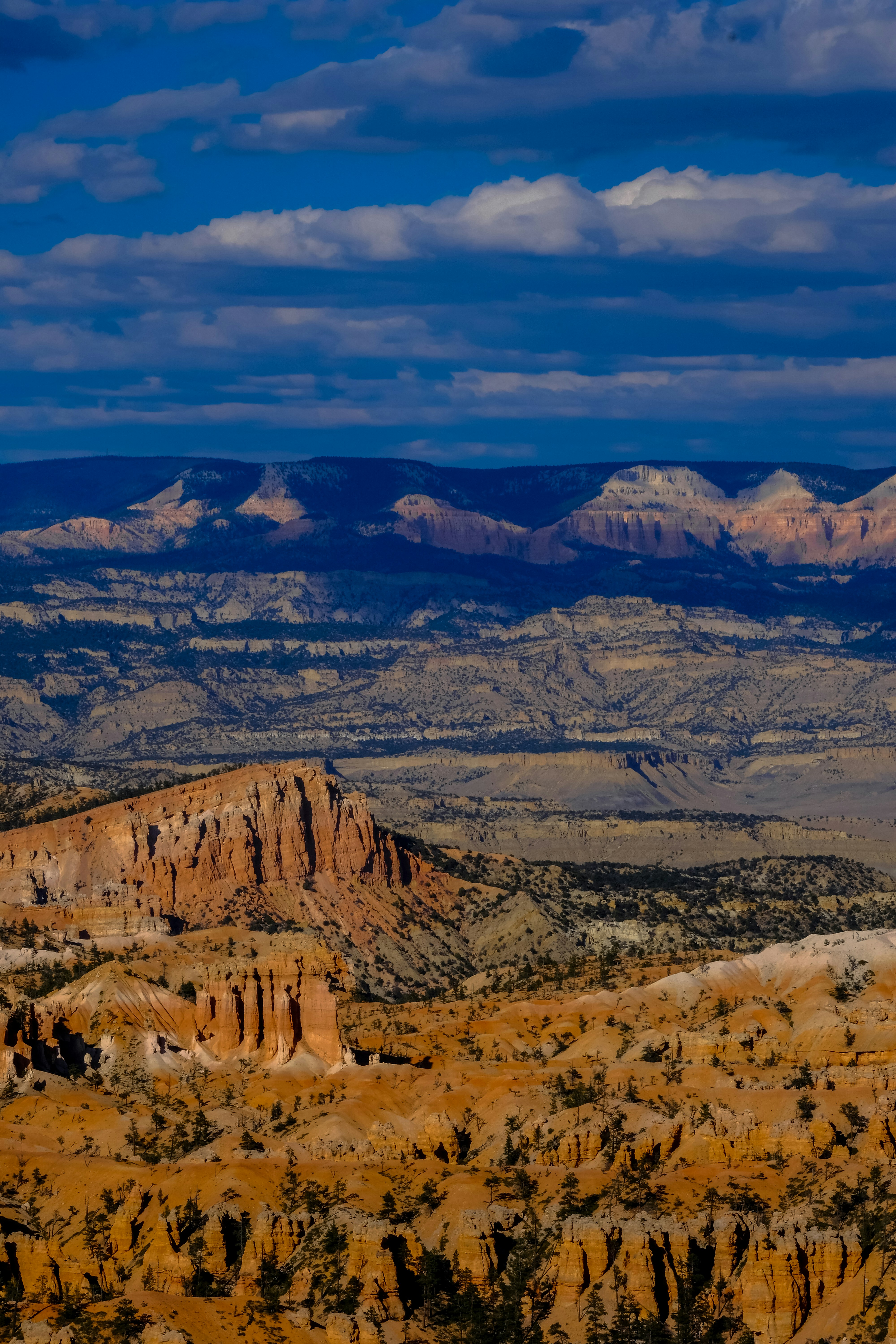 Photo by francesco_ungaro