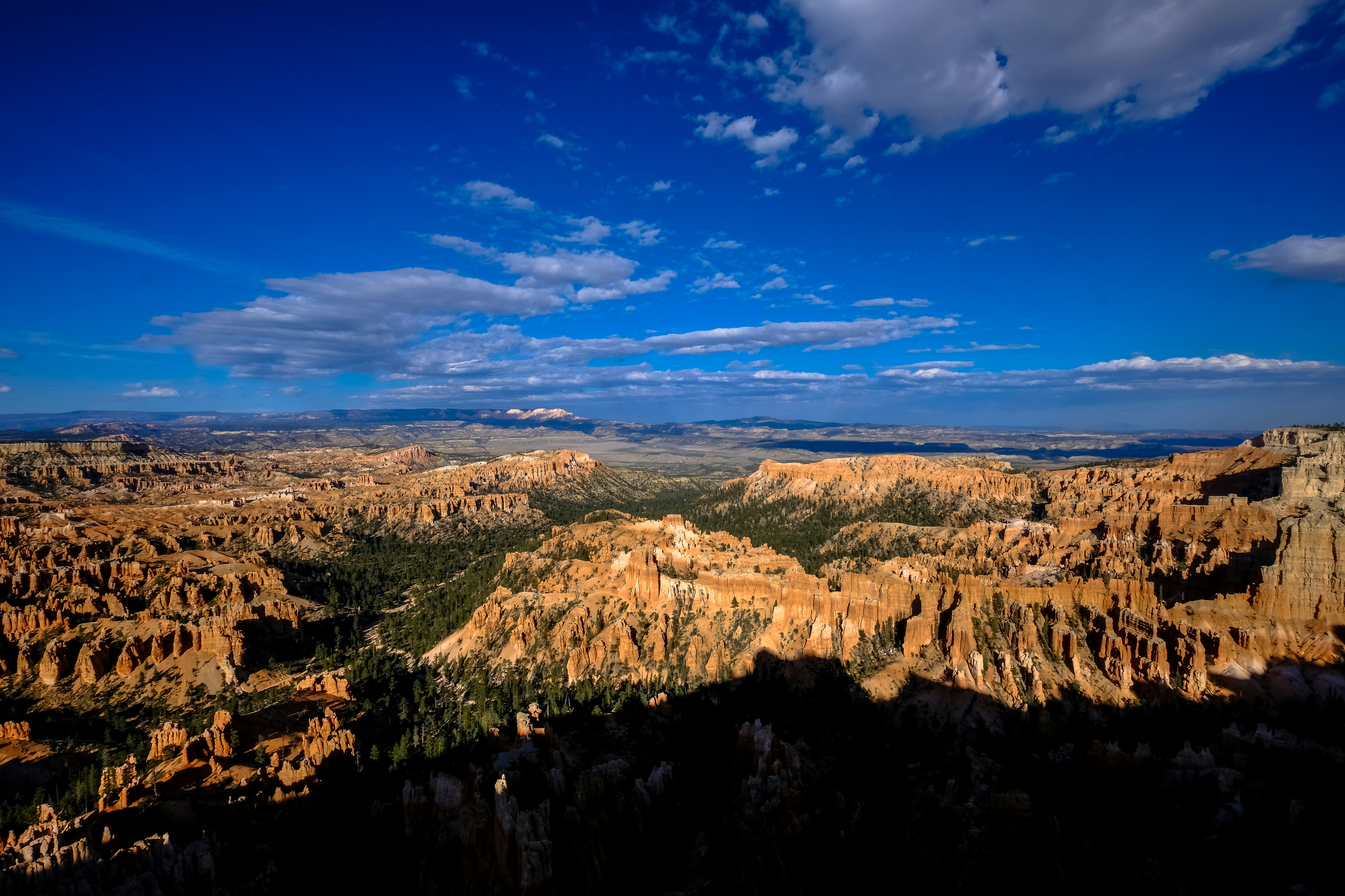 Photo by francesco_ungaro