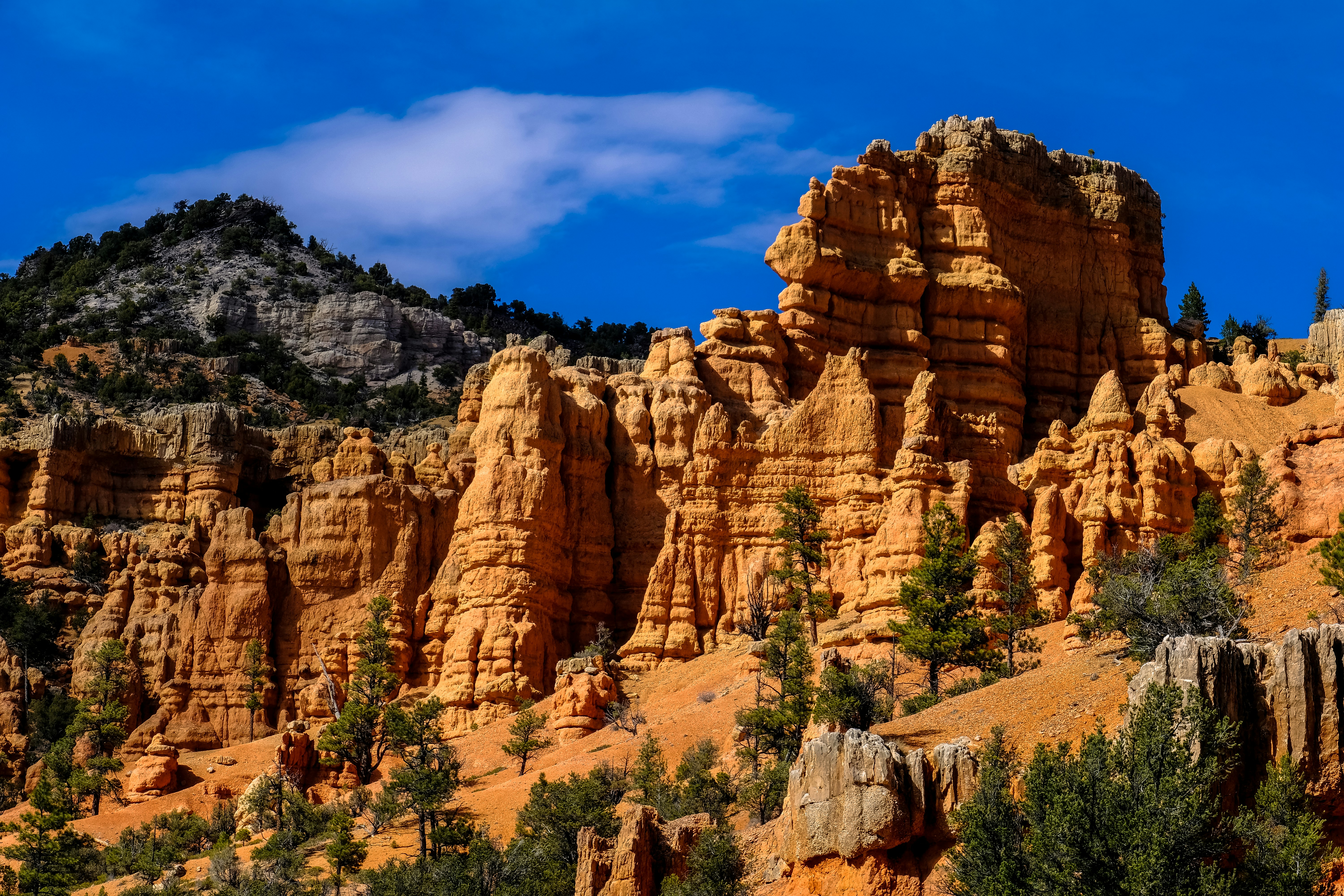 Photo by francesco_ungaro