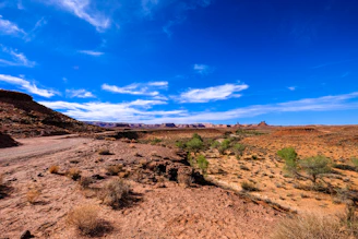 A scenic view of untouched desert land under a bright blue sky in Dteland, AZ.