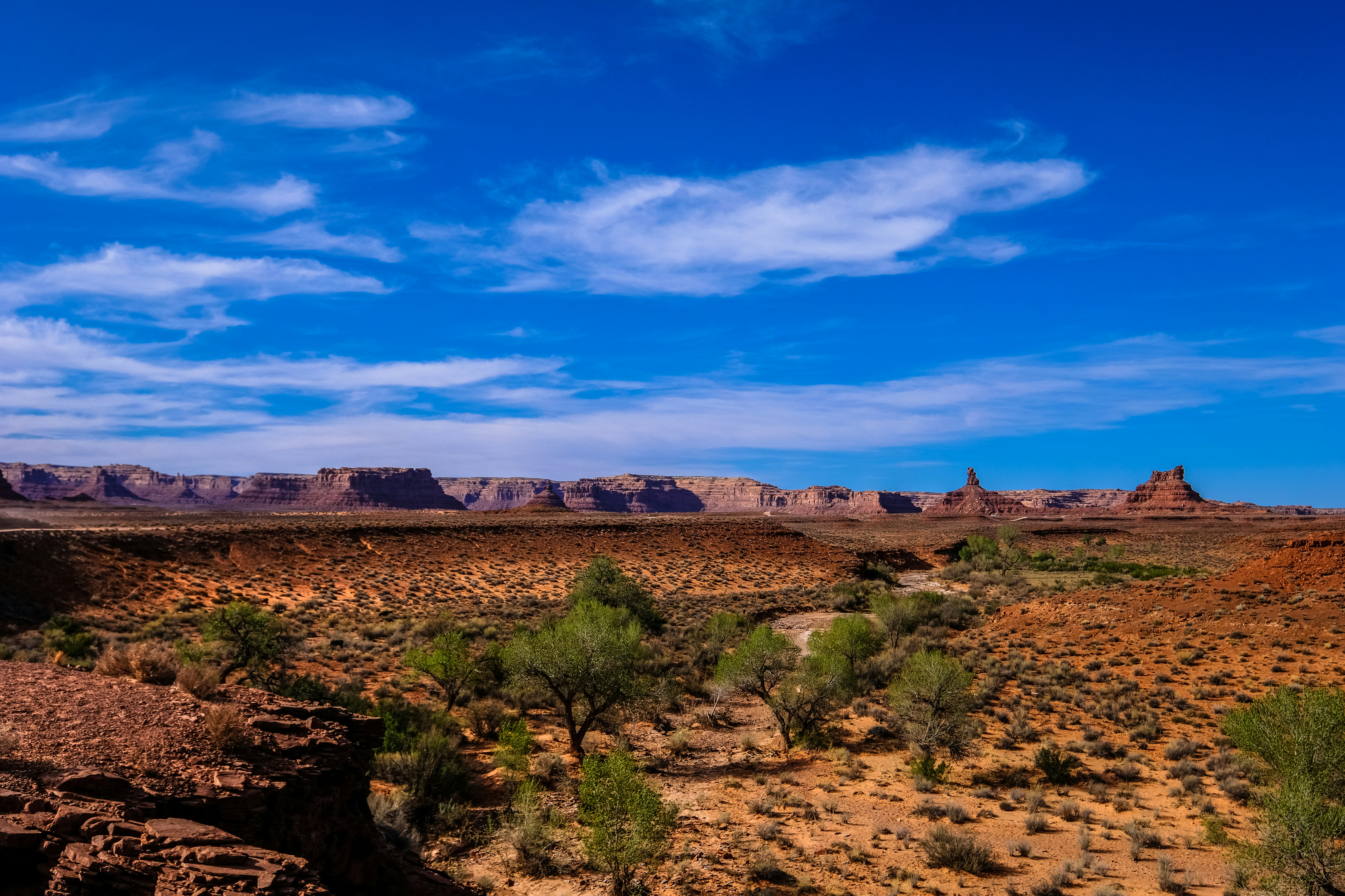 Photo by francesco_ungaro