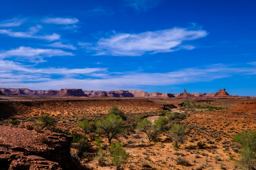 Sunlight filtering through desert sagebrush with distant red rock formations under a clear blue sky.